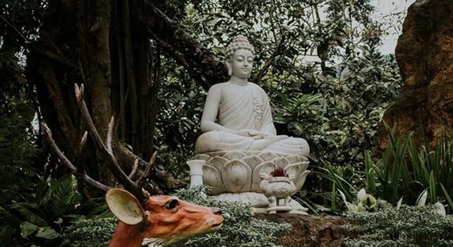 những ngôi chùa đẹp ở huế