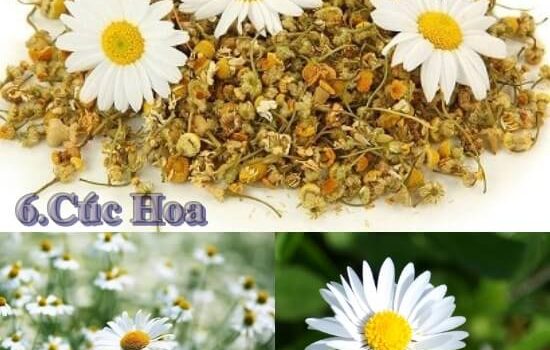 thành phần trà cung đình huế