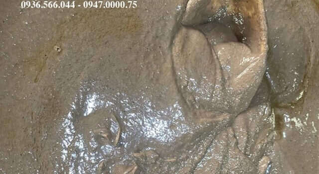 mắm ruốc huế nấu bún bò mua ở đâu